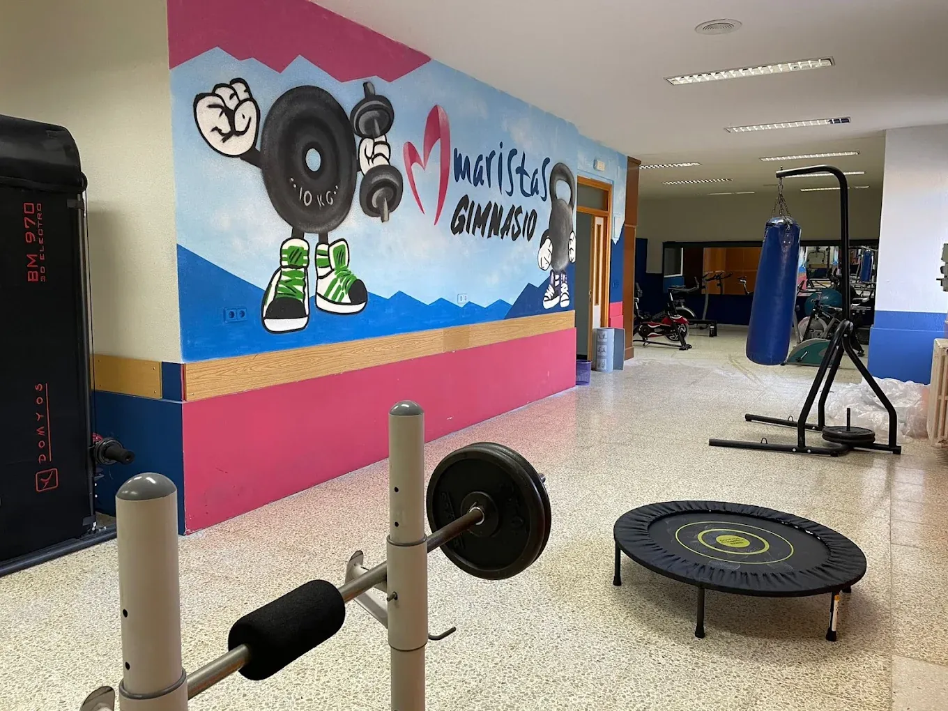 Gimnasio Maristas